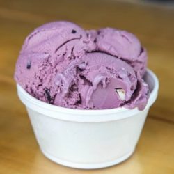 Michigan black bear ice cream