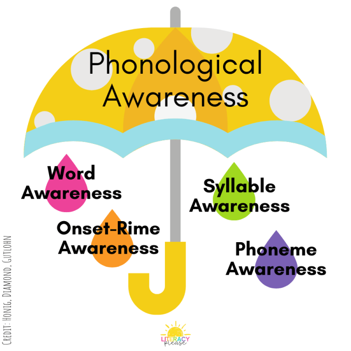 Which is the lowest developmental level of phonological awareness