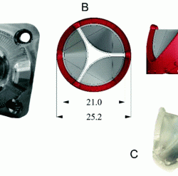 Valves cardiovascular physiology atrioventricular chambers