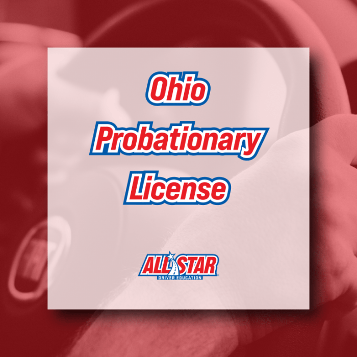 License jersey real nj driver state drivers will designation ids card driving identification need veteran veterans example non original military